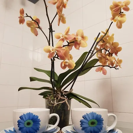 Apartment In Villino Rome