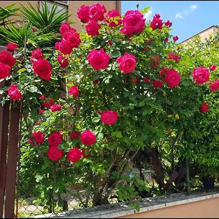 Apartment In Villino *